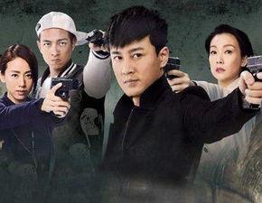 使徒行者1国语在线观看,揭秘卧底风云，探秘黑白世界